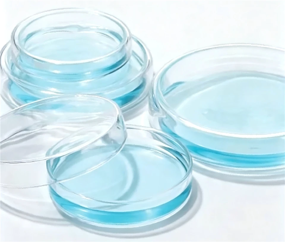 Glass Bottom Petri Dish